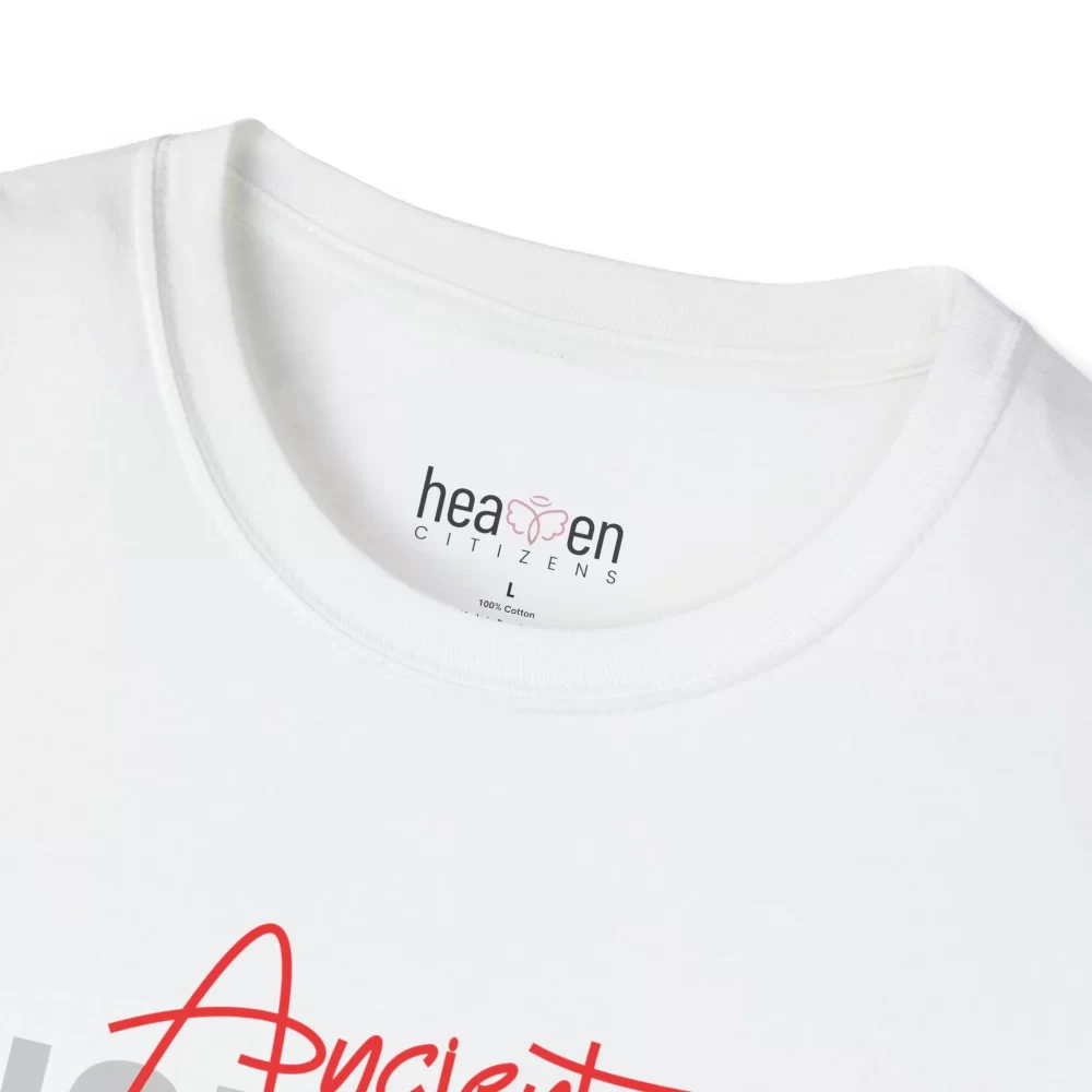 Male Ancient Zion King Softstyle T-Shirt - Image 3